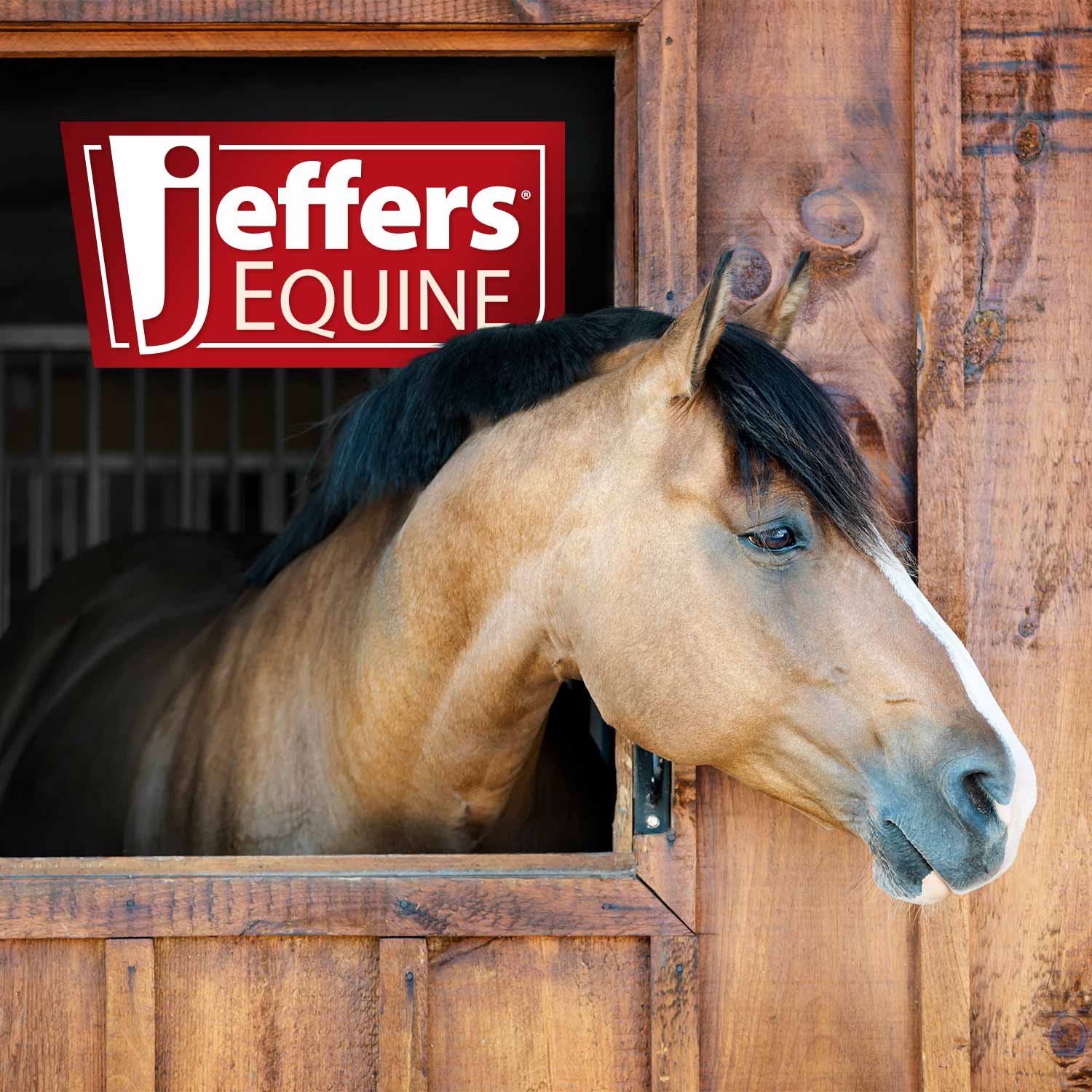 Jeffers Equine