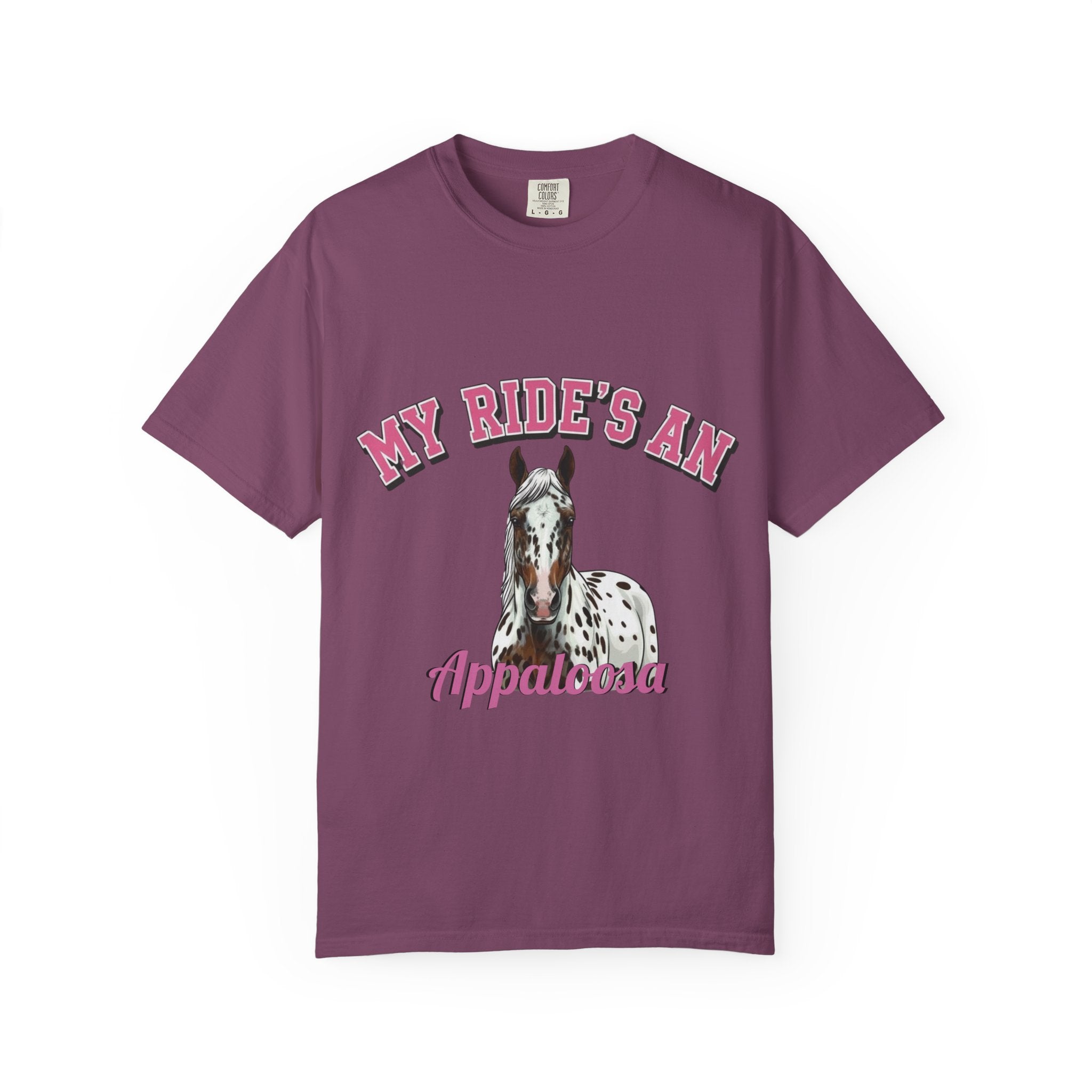 My Ride-Appaloosa