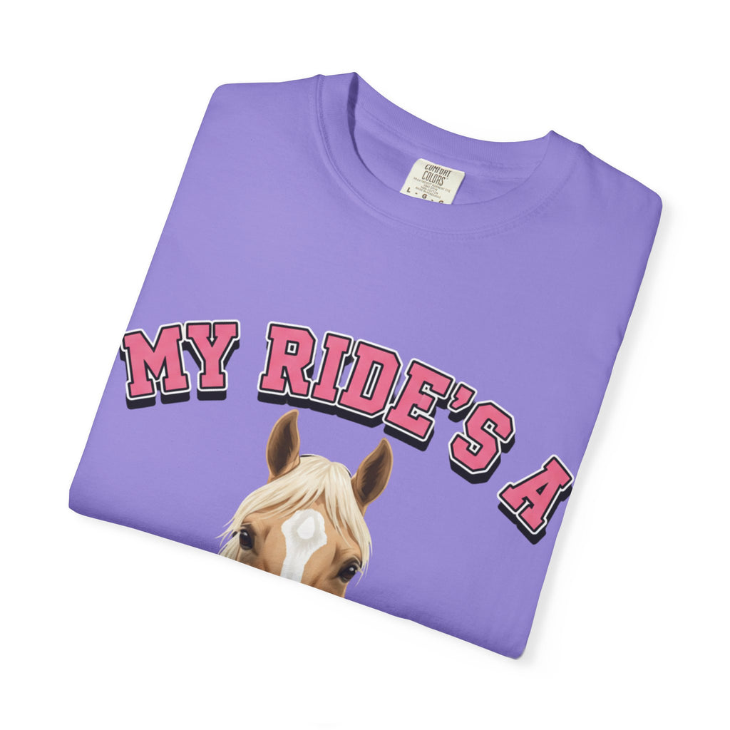 My Ride-Quarter Horse