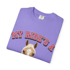 My Ride-Quarter Horse