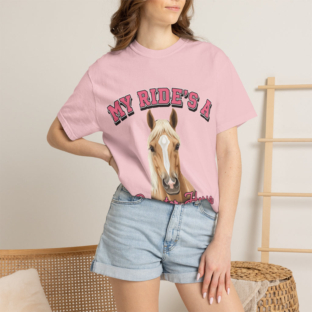 My Ride-Quarter Horse