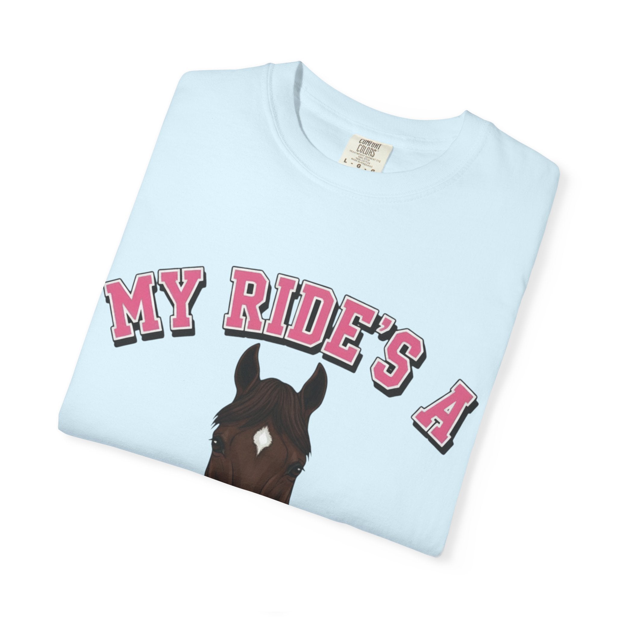 My Ride- Thoroughbred