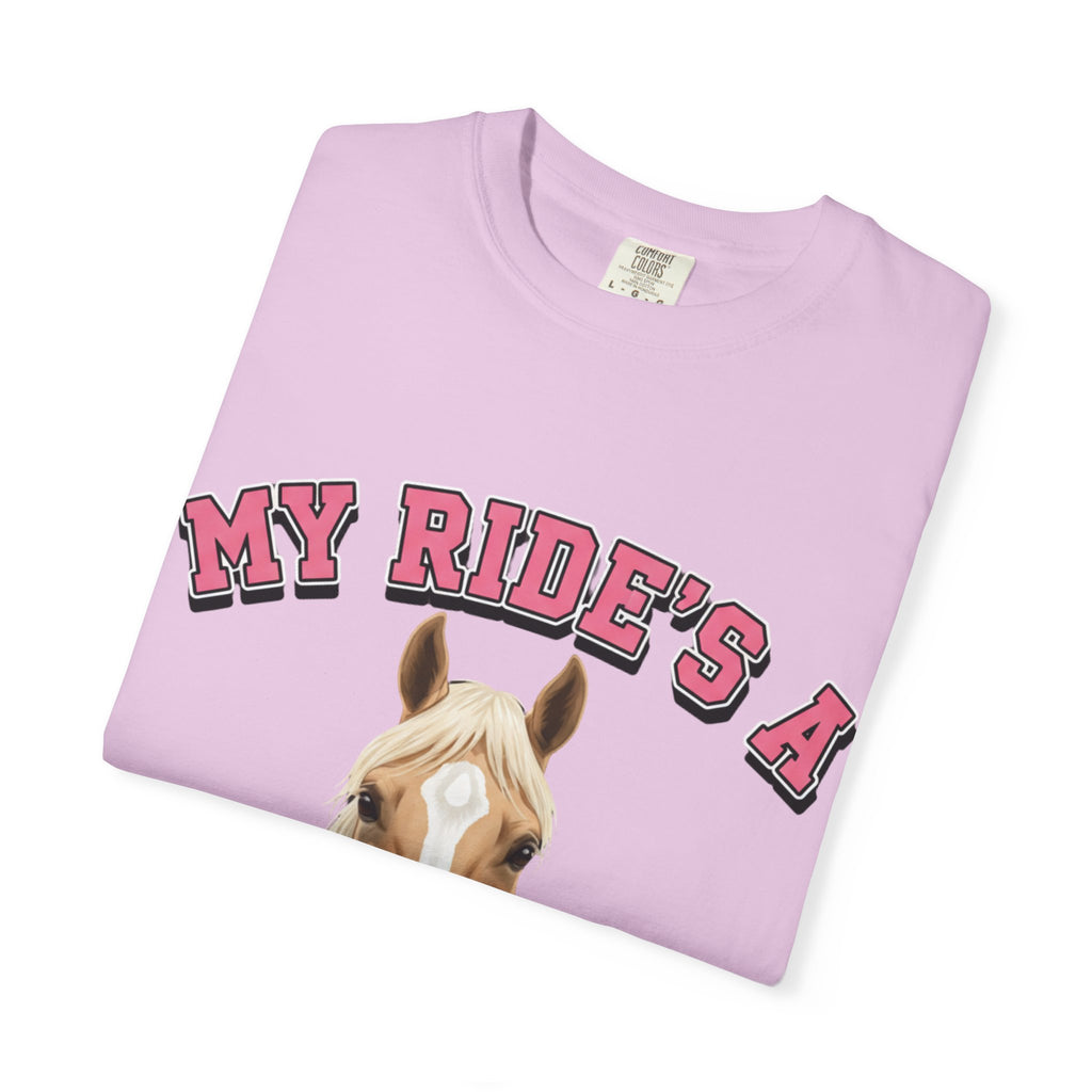 My Ride-Quarter Horse