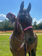Enchanting Princess Tack Set Pre-Order