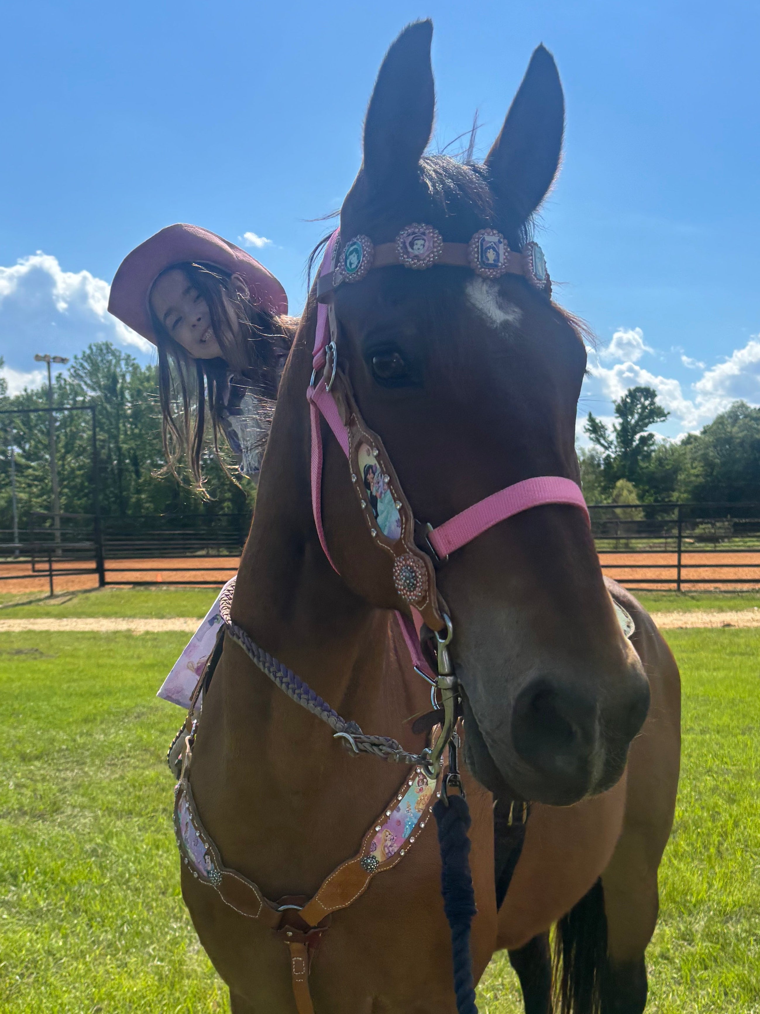 Enchanting Princess Tack Set Pre-Order