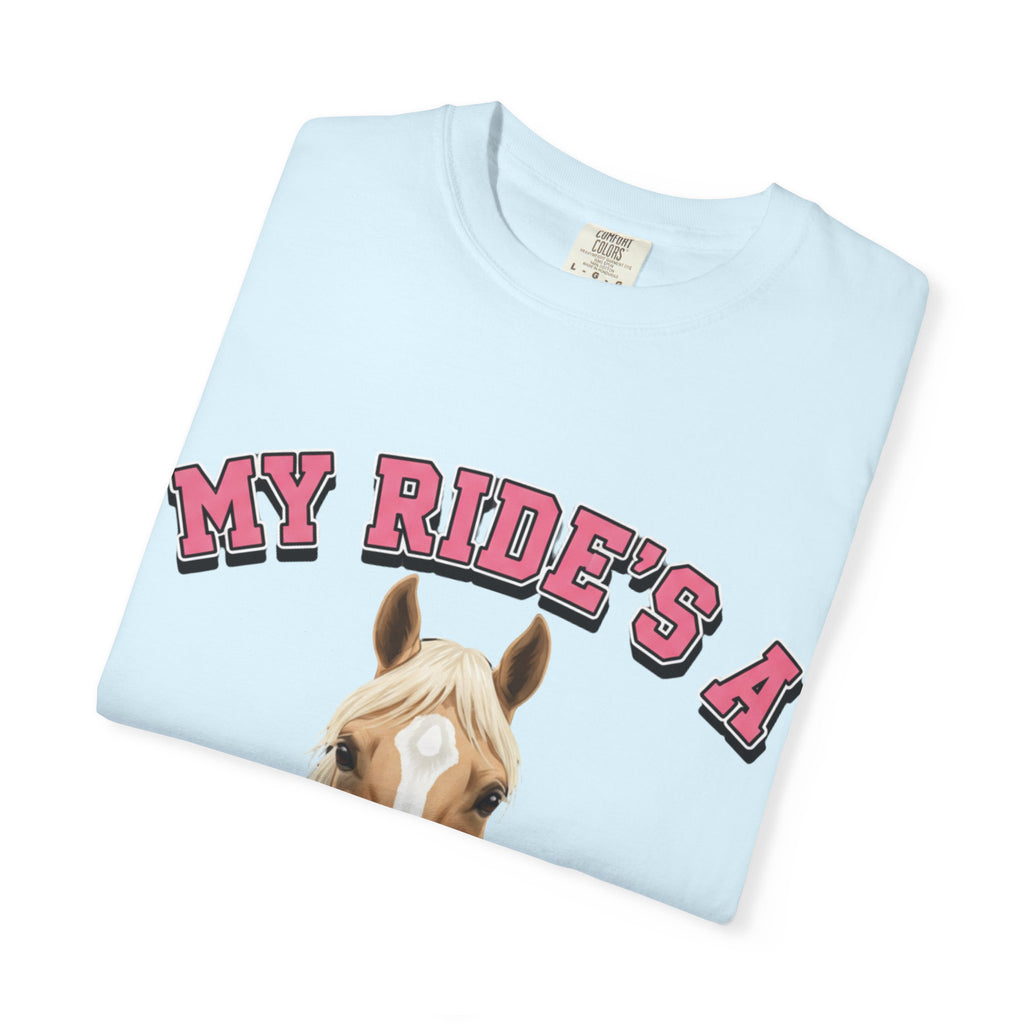 My Ride-Quarter Horse