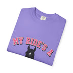 My Ride- Tennessee Walker