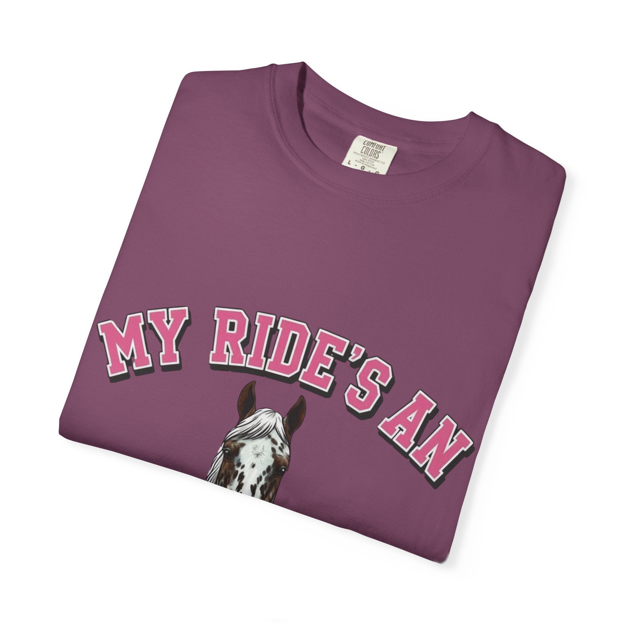 My Ride-Appaloosa