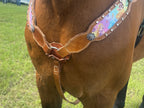 Enchanting Princess Tack Set Pre-Order