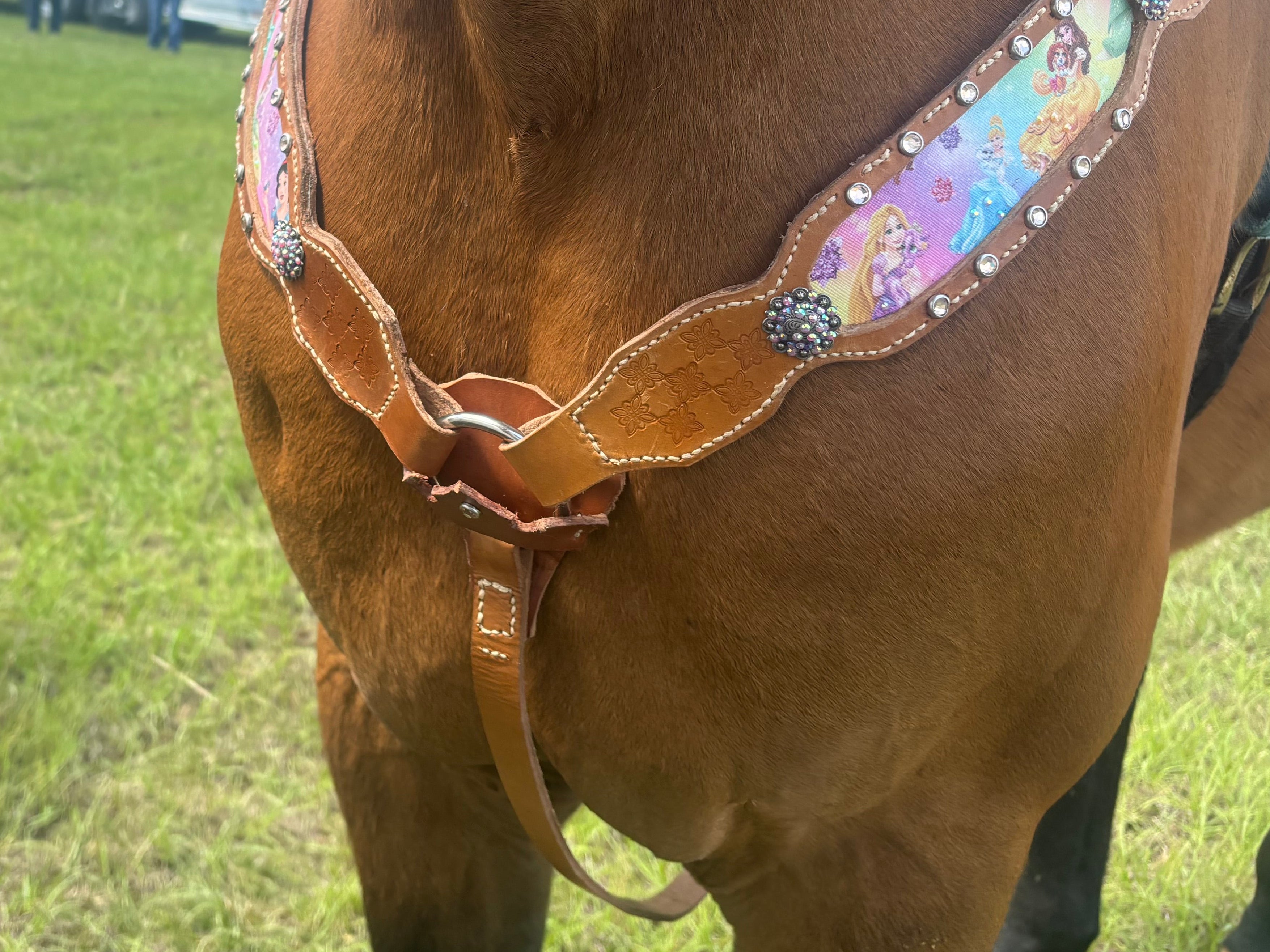 Enchanting Princess Tack Set Pre-Order