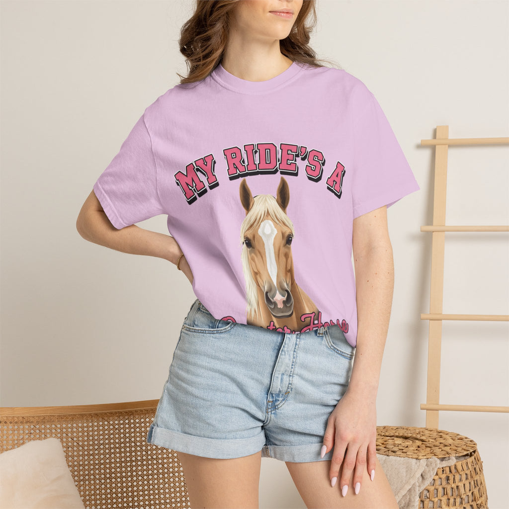 My Ride-Quarter Horse