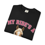 My Ride-Quarter Horse