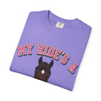 My Ride- Thoroughbred
