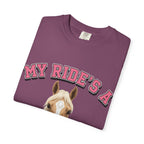 My Ride-Quarter Horse