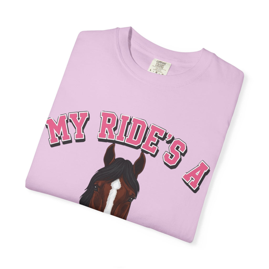 My Ride-Clydesdale