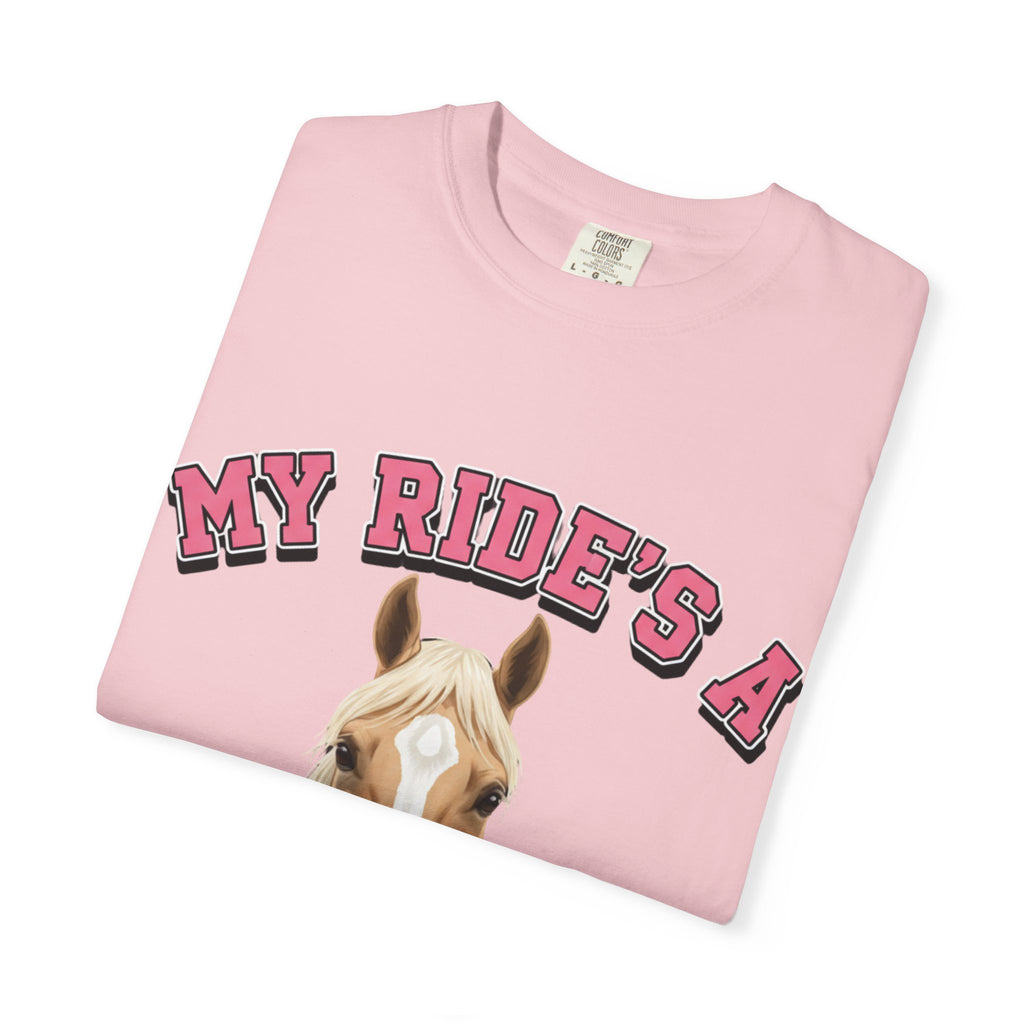 My Ride-Quarter Horse