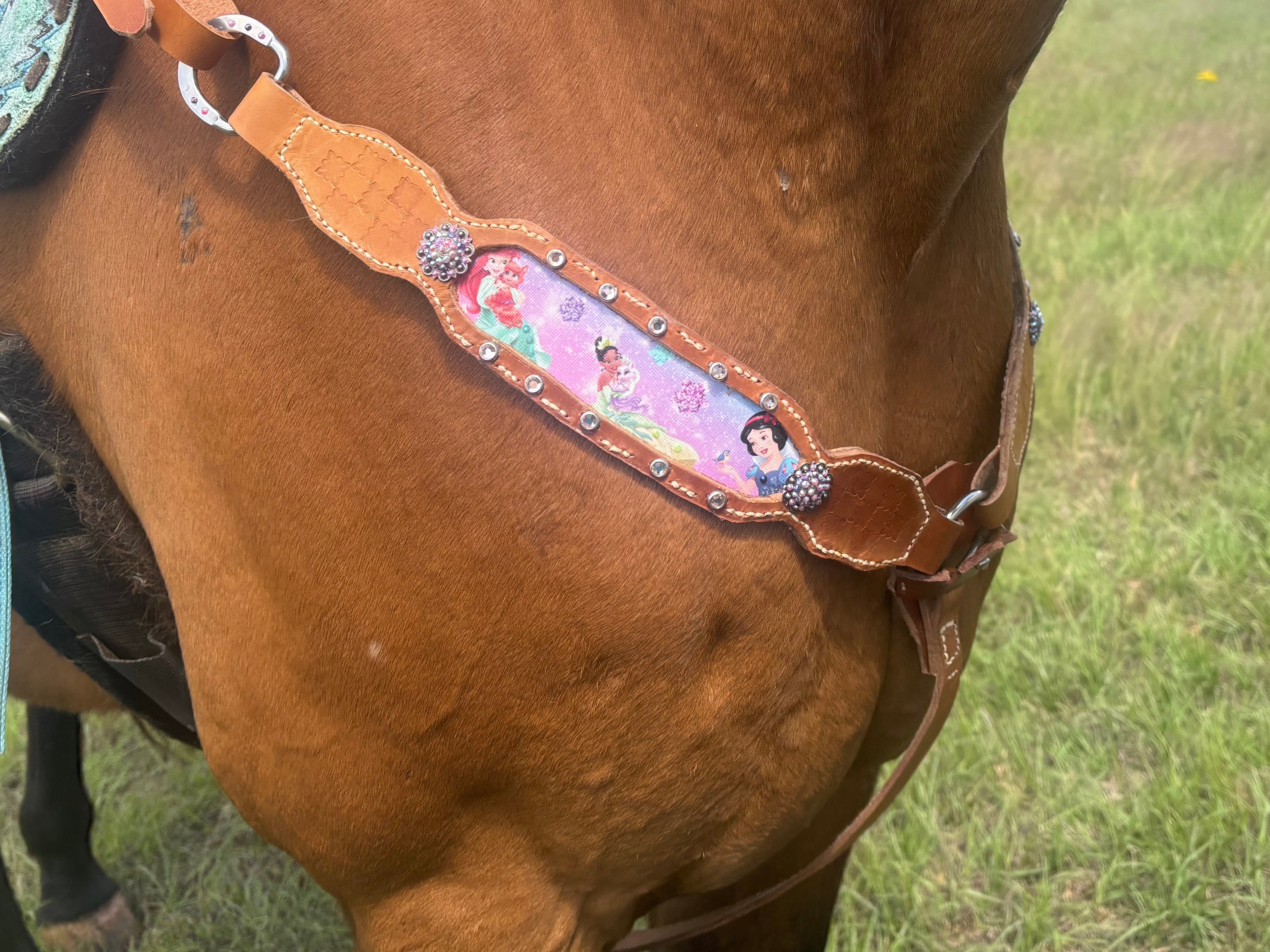 Enchanting Princess Tack Set Pre-Order